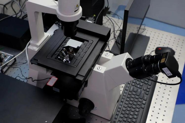 Kaiyun中国：蹲点调查｜竞速“细胞新基建”(图7)