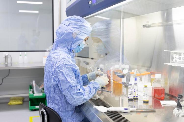 Kaiyun中国：蹲点调查｜竞速“细胞新基建”(图9)