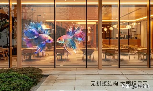 Kaiyun中国：定义空间的光显魔法师洲明全息显示开辟崭新沉浸式视觉时代(图3)